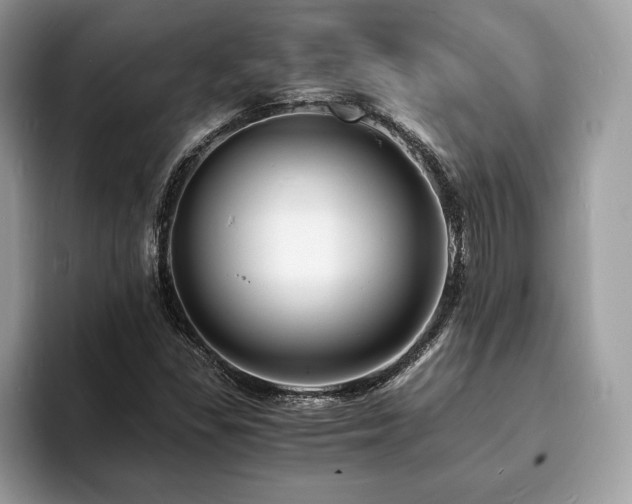 X0000094061309200710191054