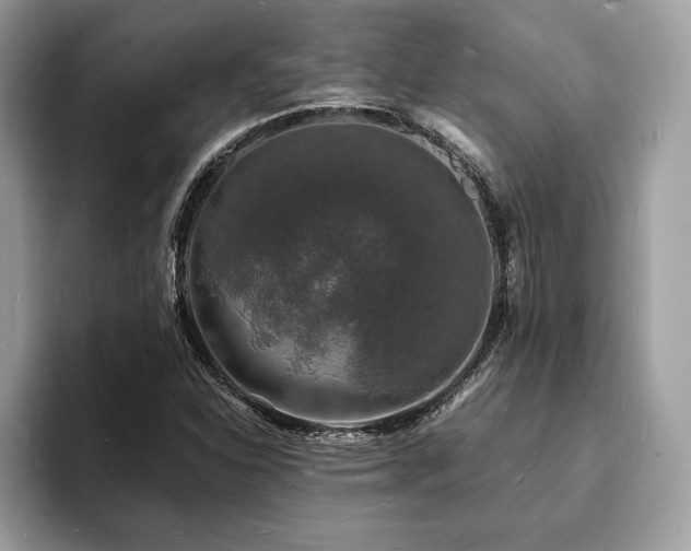 X0000094061310200710191054