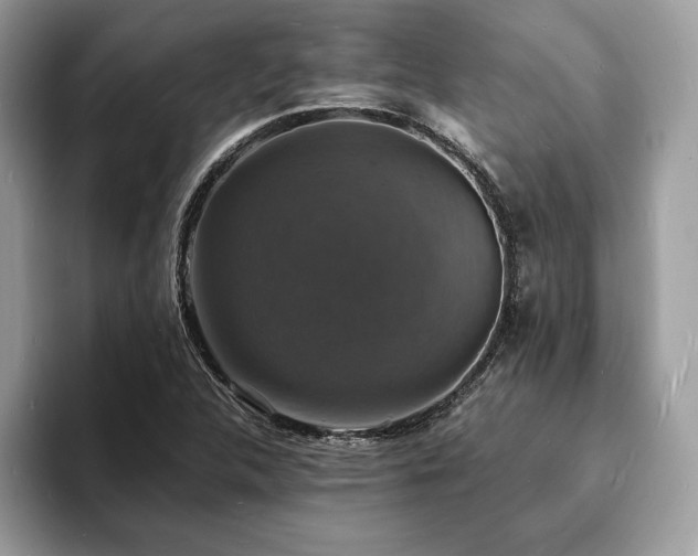 X0000094061312200710191054