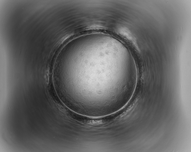 X0000094061313200710191054