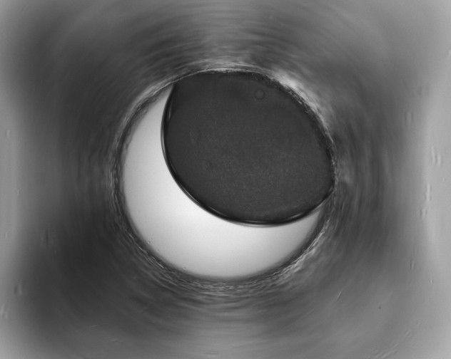 X0000094061314200710191054