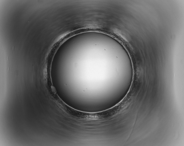 X0000094061315200710191054