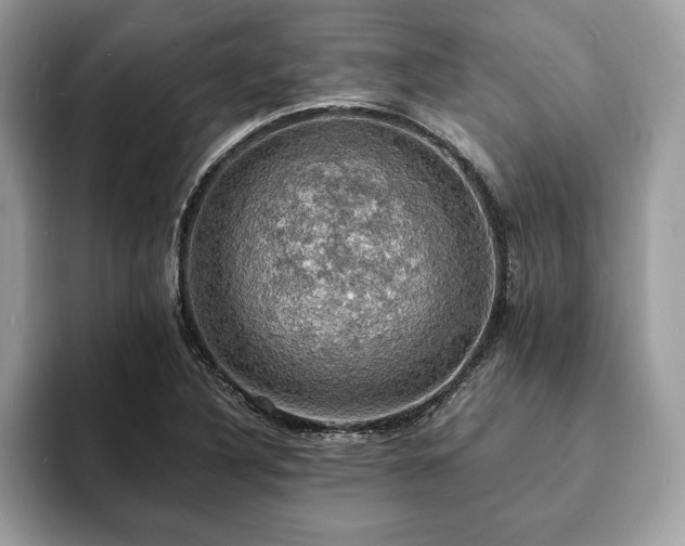 X0000094061316200710191054