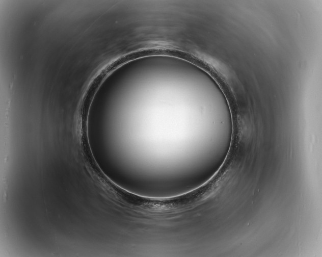 X0000094061318200710191054