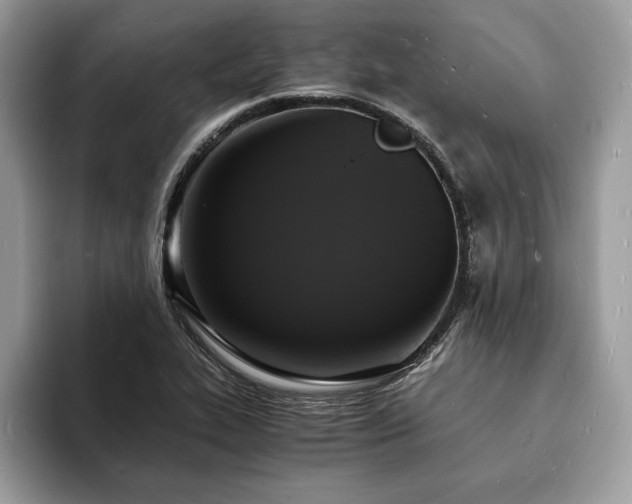 X0000094061319200710191054