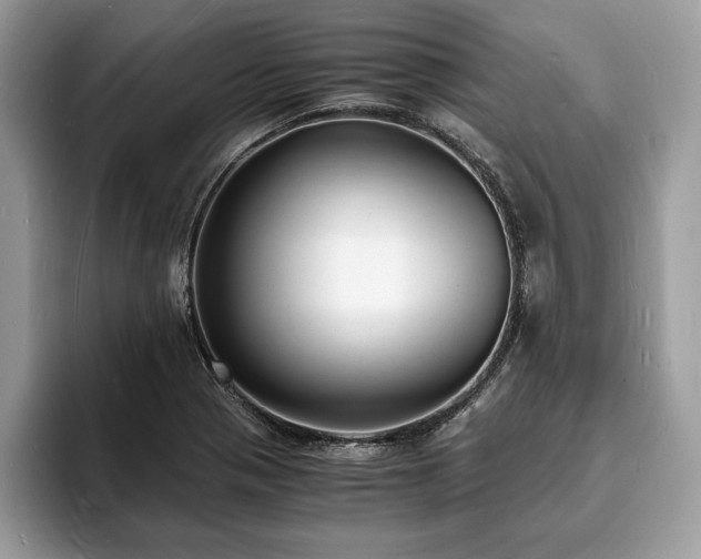 X0000094061321200710191054