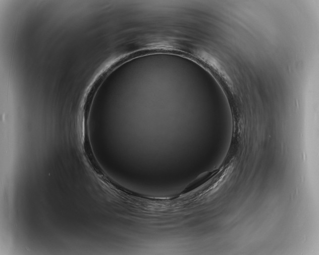 X0000094061323200710191054