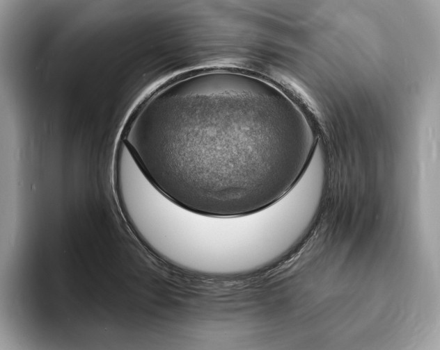 X0000094061324200710191054