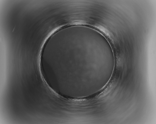 X0000094061325200710191054