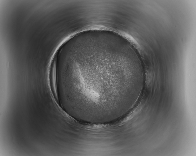 X0000094061326200710191054