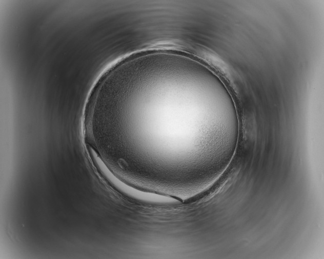 X0000094061328200710191054