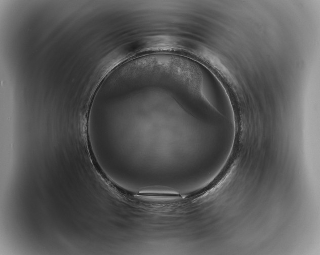 X0000094061329200710191054