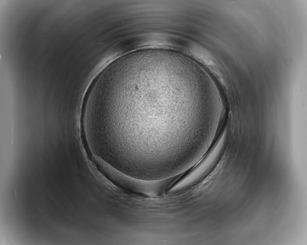 X0000094061330200710191054