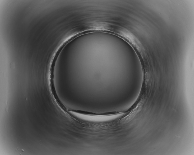 X0000094061331200710191054