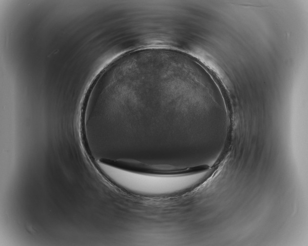 X0000094061333200710191054