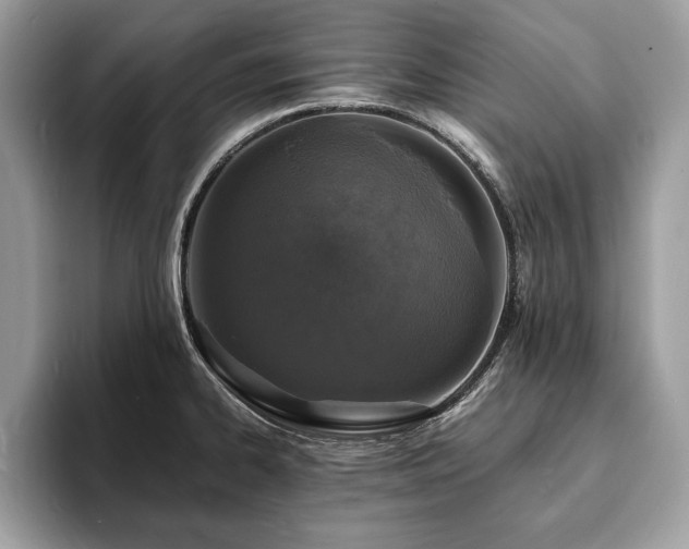 X0000094061334200710191054