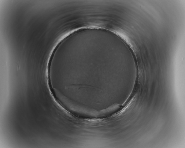 X0000094061335200710191054
