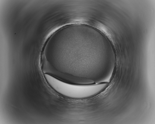 X0000094061336200710191054
