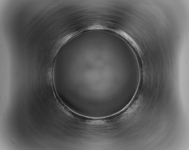 X0000094061337200710191054