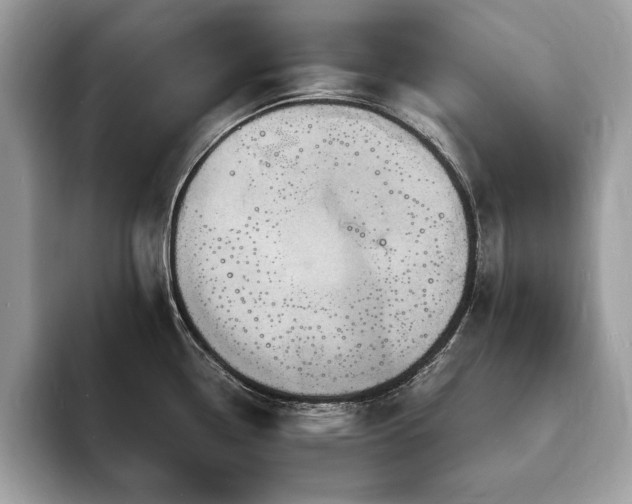 X0000094061338200710191054