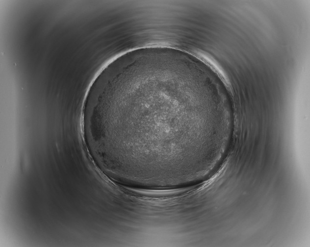 X0000094061340200710191054