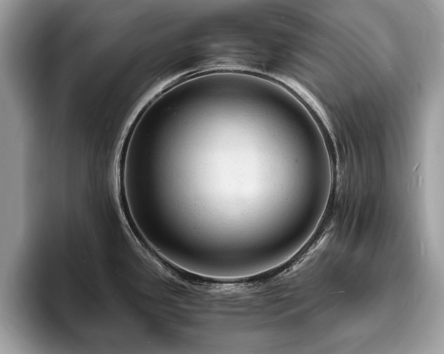 X0000094061341200710191054