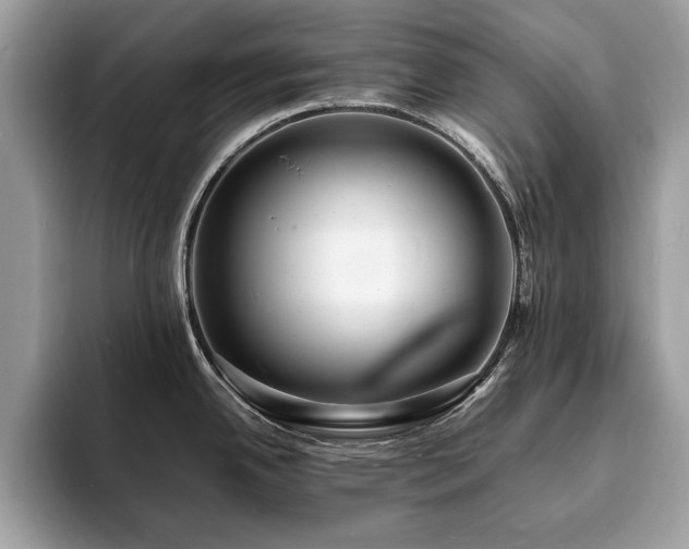 X0000094061342200710191054