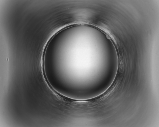 X0000094061343200710191054
