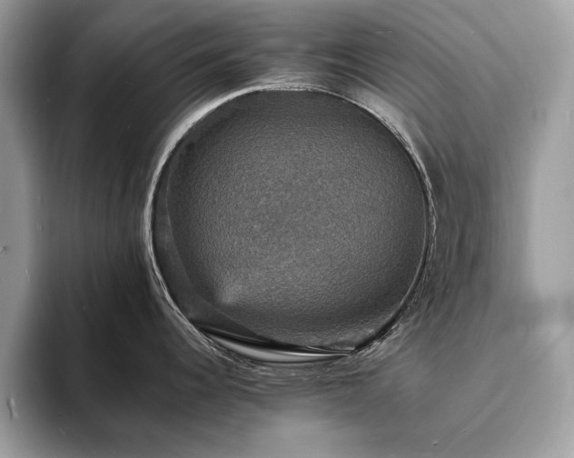 X0000094061344200710191054