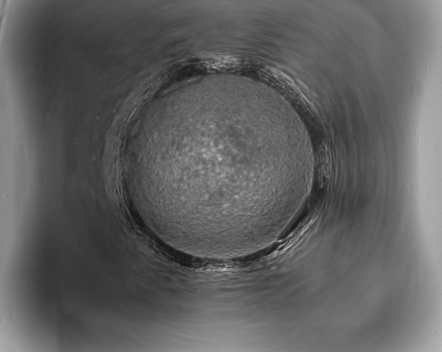 X0000094061345200710191054