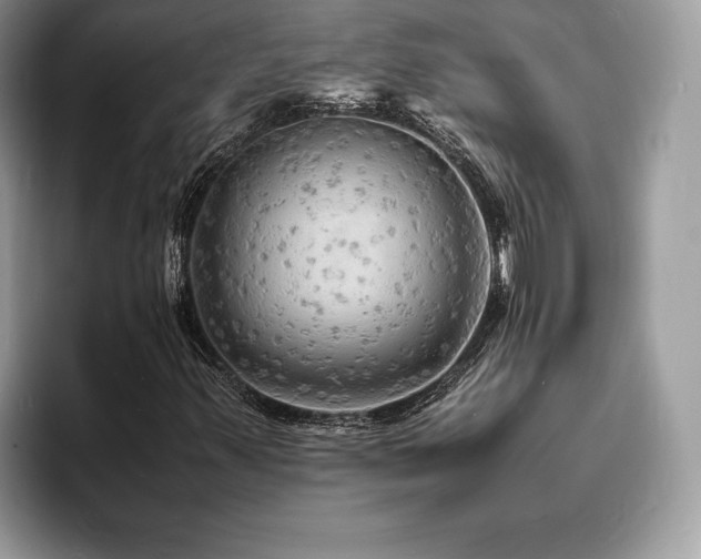 X0000094061347200710191054