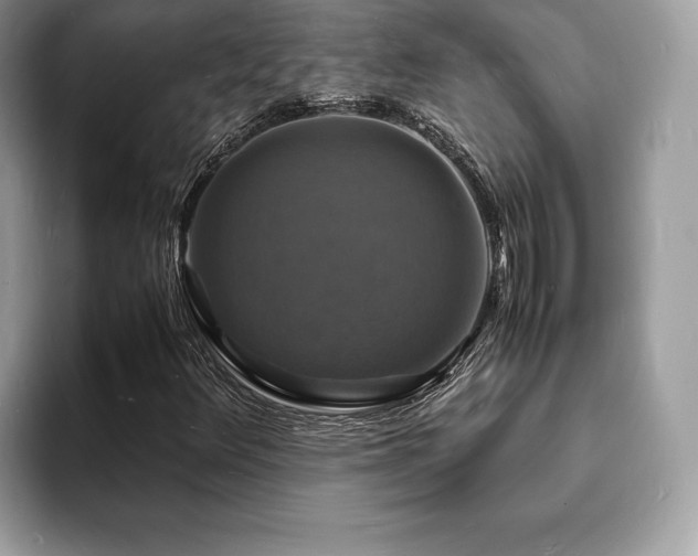 X0000094061348200710191054