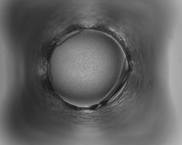 X0000094061349200710191054