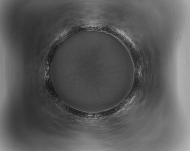 X0000094061350200710191054