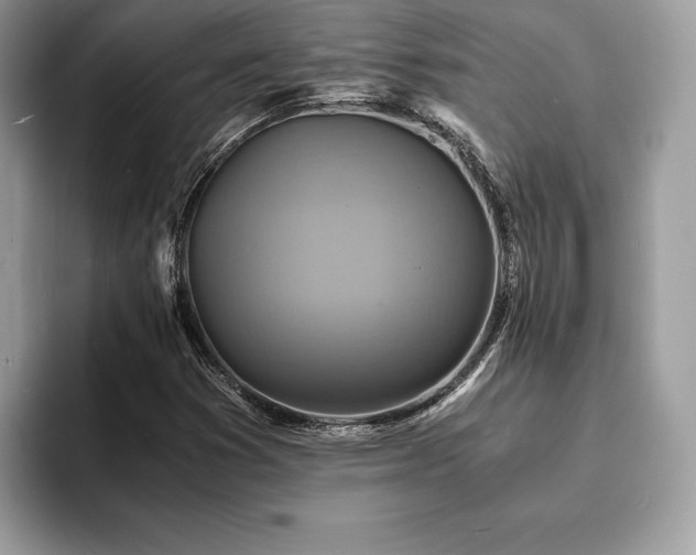 X0000094061353200710191054