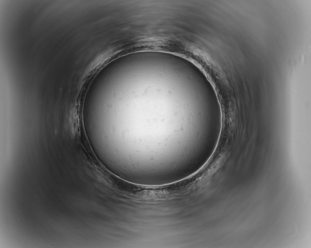 X0000094061354200710191054