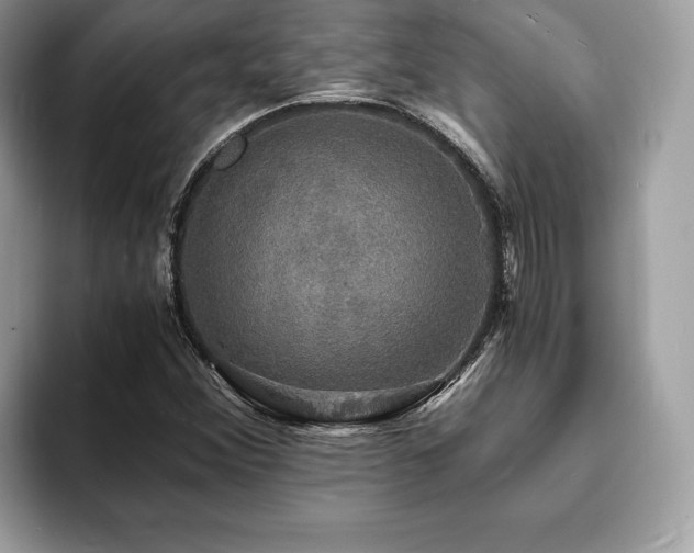 X0000094061356200710191054