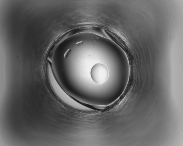 X0000094061357200710191054