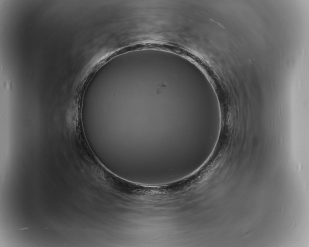 X0000094061359200710191054