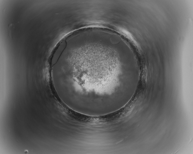 X0000094061360200710191054