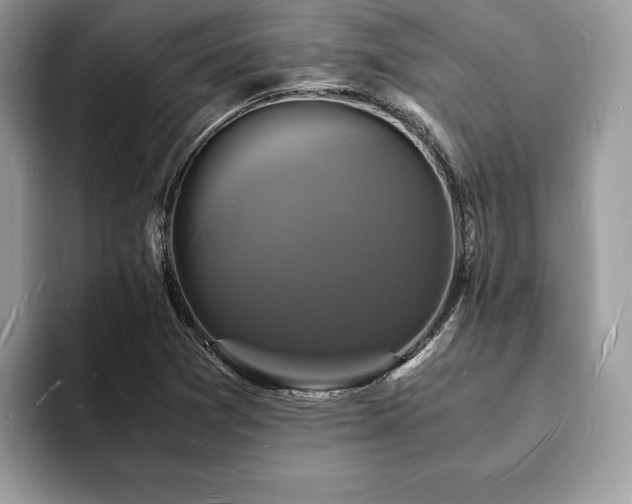 X0000094061361200710191054