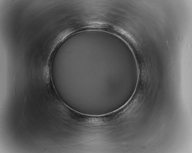 X0000094061362200710191054