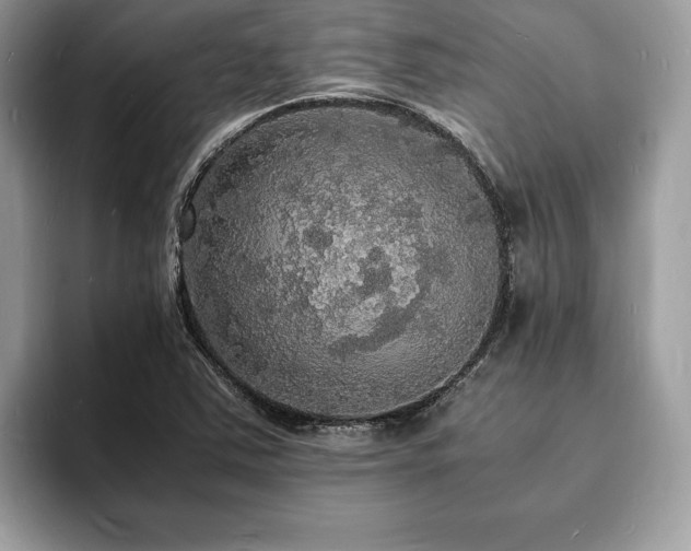 X0000094061363200710191054