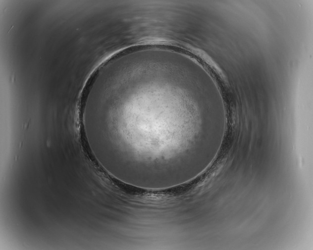 X0000094061364200710191054