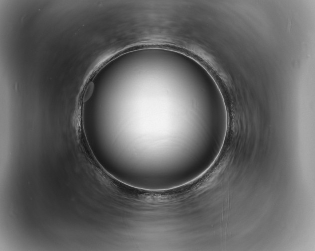 X0000094061366200710191053