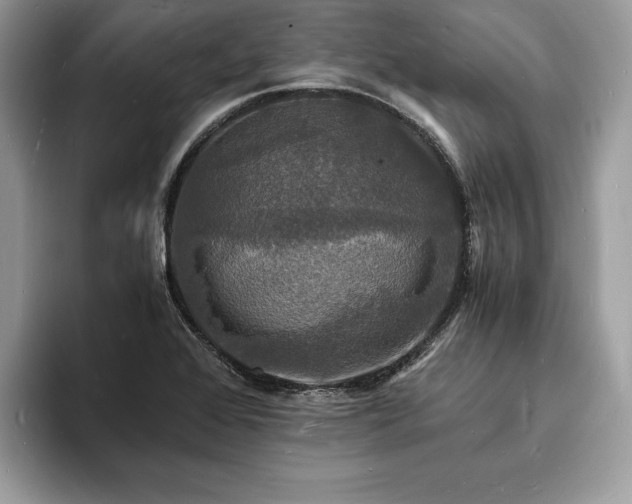 X0000094061368200710191053