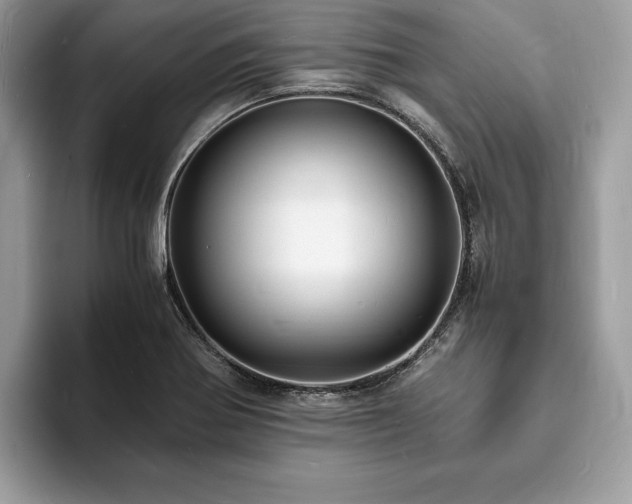 X0000094061370200710191053
