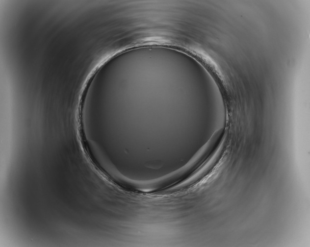 X0000094061373200710191053