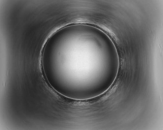 X0000094061374200710191053