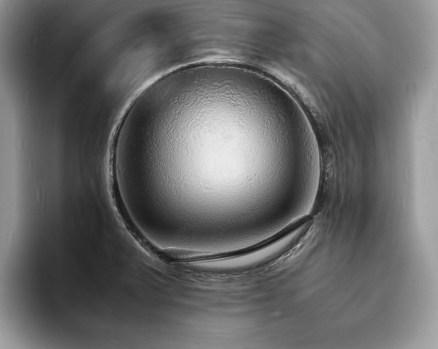 X0000094061375200710191053